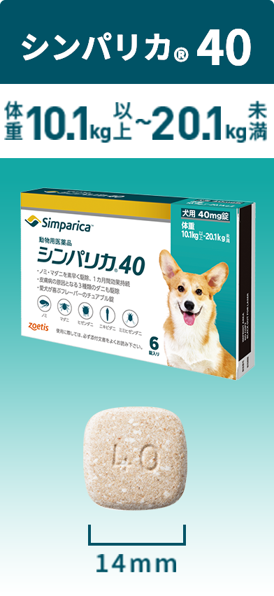 1秒を大切に君と歩こう、ギネス世界記録™に残そう！｜Zoetis | Zoetis JP